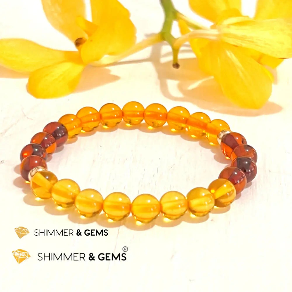 Amber Tricolour Bracelet (Natural) 6mm with 14k gold filled Bracelets