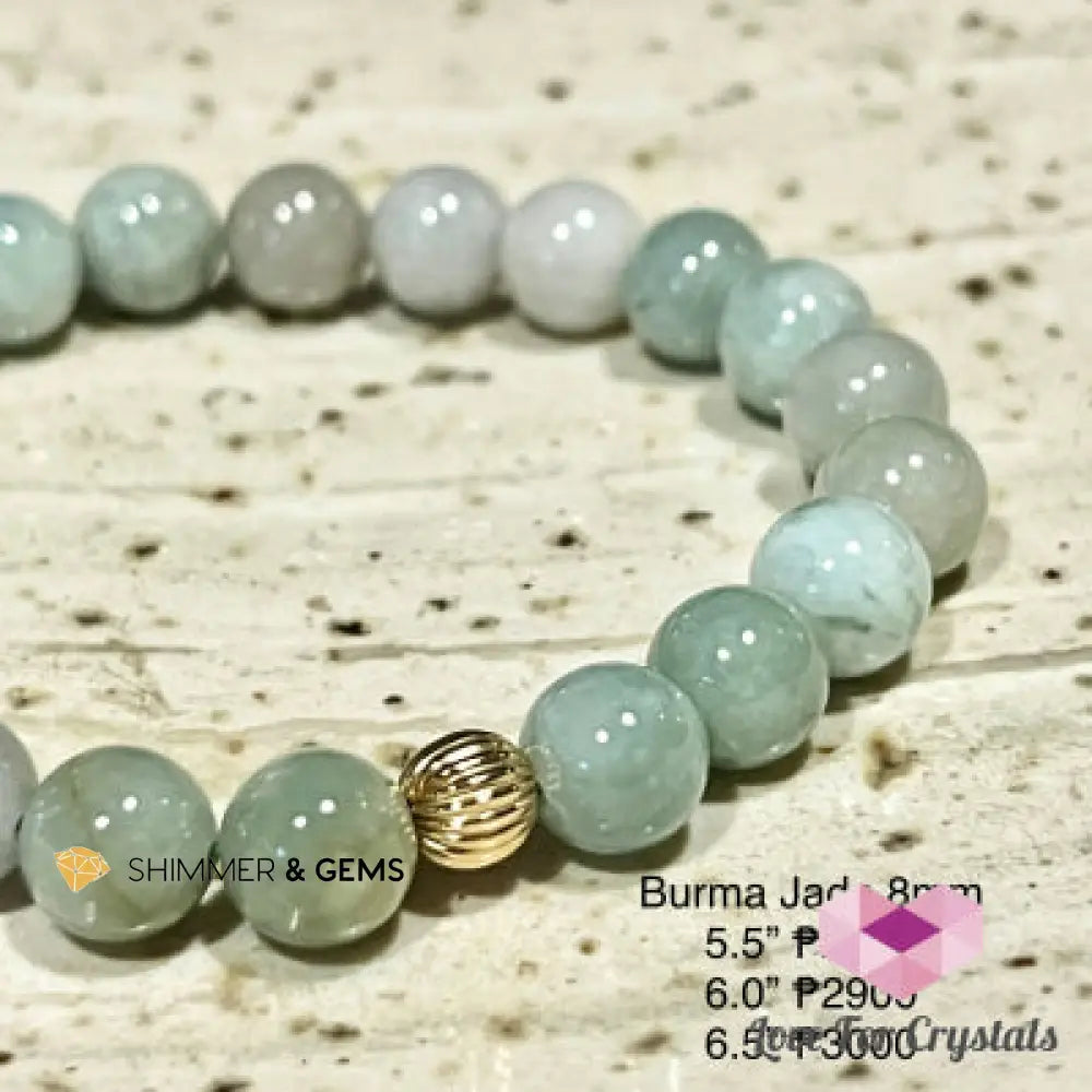 Burma Jade 8mm Bracelet with 14k gold filled Bracelets