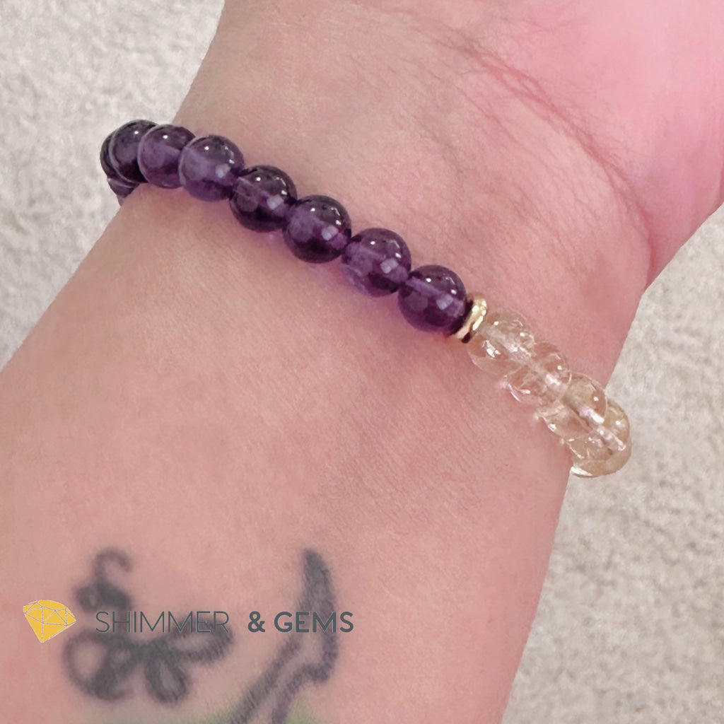 Wealth & Career Success Pixiu Bracelet (Stainless Steel) Citrine and Amethyst 6mm