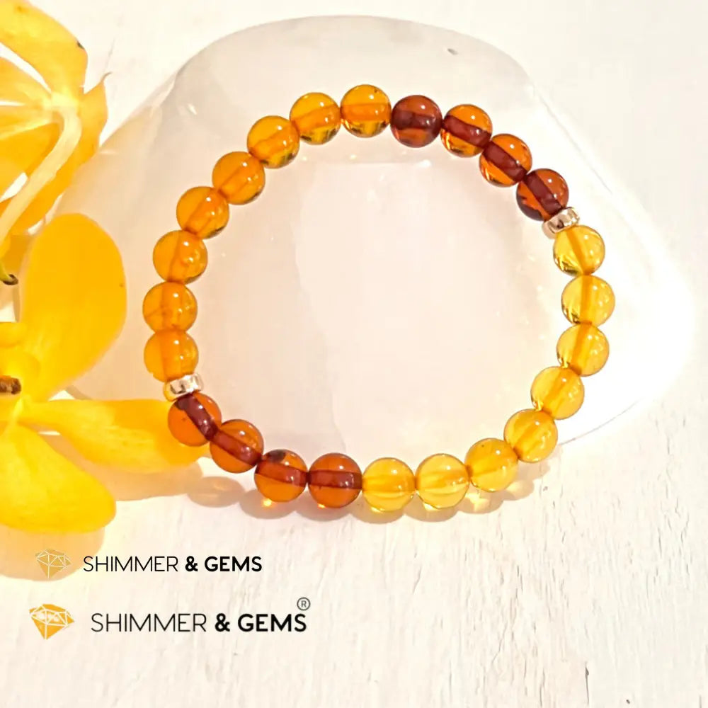 Amber Tricolour Bracelet (Natural) 6mm with 14k gold filled 6.0” Bracelets