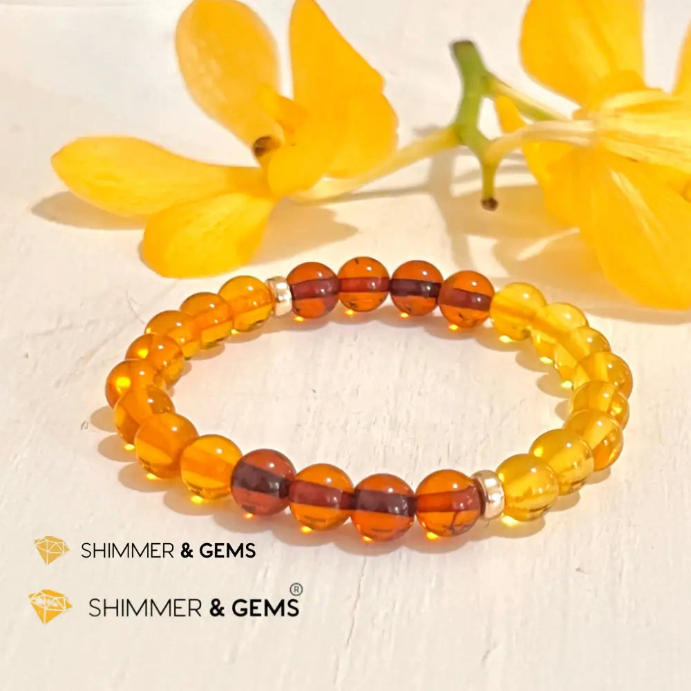 Amber Tricolour Bracelet (Natural) 6mm with 14k gold filled 6.5” Bracelets