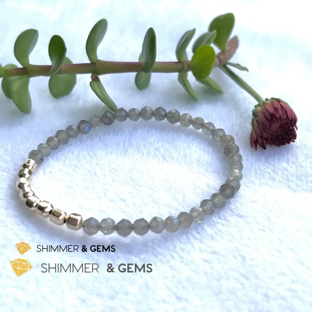 Labradorite Fortune 8 Bracelet (Aura Cleanse) Bracelets
